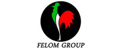 FELOM GROUP Srl